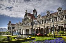 Dunedin 4 Hrs halfday Private Tour 