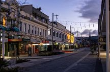 Dunedin 4 Hrs halfday Private Tour 