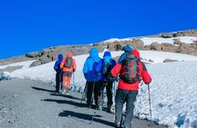 Climb Mount Kilimanjaro in 7 Days 6 Nights Using Lemosho Route