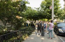 NYC Trolley Tour Explore Harlem The Bronx Queens and Brooklyn