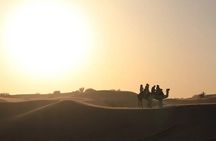Evening Desert Safari