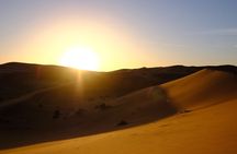 Evening Desert Safari