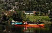 Kristiansand: Kayaking River Tour Adventure