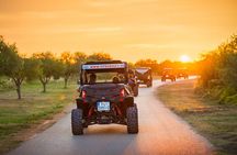 "Istrian Escape" Buggy Tour with a Local Guide
