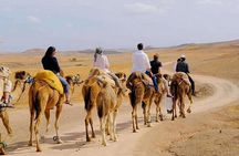 Dinner in Agafay Desert ,Sunset Camel Ride, Fire Show