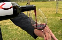 Pompeii Guided Tour & Lunch with Superior Wine Tasting