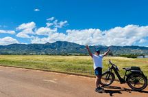 Guided E-Bike Tour in North Shore
