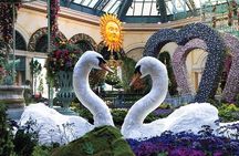 Las Vegas City Tour Street Experience VIP maximum 6 people