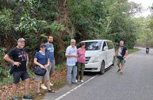 Kampot Exploring Bokor Mountain