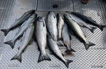 Private Ketchikan Wild Alaskan Salmon Fishing Trip