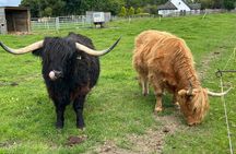 Half Day Black Isle Tour
