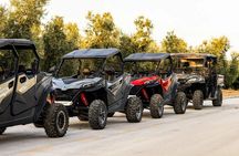 Istra Buggy Tour with a Local Guide