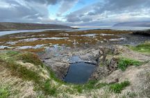  Isafjordur and Westfjords Private Tour