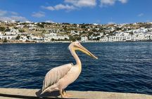 The Real Mykonos: A Private Tour by Locals