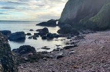 Giant's Causeway and Scenic Tour