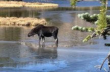 Discover Rocky Mountain National Park