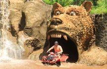 Ultimate Bali ATV Swing Volcano Ubud Private Guided Tour