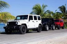 Cozumel: Private Jeep Tour, Mayan Ruins, Snorkeling & Lunch