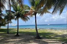 Private Tour in Cozumel by Jeep with Beach Club and Lunch