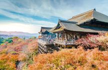 Kyoto and Nara Highlights Day Tour from Osaka 