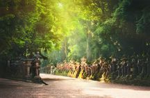 Best of Kyoto and Nara Highlights Day Tour from Osaka (7~9 spots)
