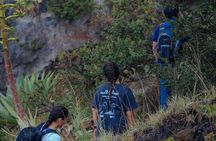 Private Tour of Ilamatepec Volcano and Lake Coatepeque