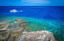 Kuata Island Marine Conservation Experience with Lunch 