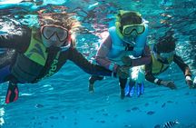 Kuata Island Marine Conservation Experience with Lunch 