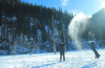 Private Charyn Canyon, Kolsai Lake with Optional Kaindy Lake tour