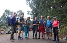 6 Days Kilimanjaro Machame Route Group Climbing and Hiking Tour