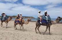 McLaren Vale, Port Elliot and Victor Harbor Minibus Tour