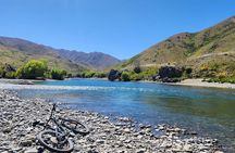 Akaroa Group Day Tour from Christchurch
