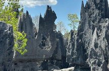 TSINGY Tour 3 day start in Morondava 