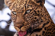 3 Days Maasai Mara Private Safari
