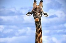 3 Days Maasai Mara Private Safari