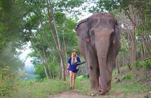 Ethical Elephant Sanctuary Tour from Bangkok & Pattaya