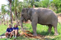 Ethical Elephant Sanctuary Tour from Bangkok & Pattaya
