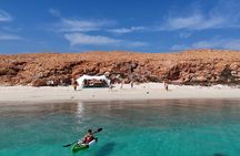 Full Day Dimaniyat Island Experience with Lunch