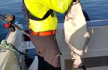 3 Hours Fishing Adventures in Alta Fjord