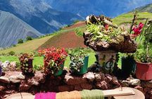 Andean Rituals Experience (Cusco Region): ANDEAN COLORS