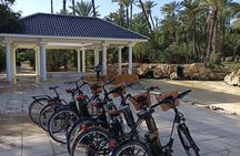 Alicante City Tour on E-Bike