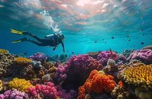 White Island & Ras Mohammed National Park from Sharm El Sheikh