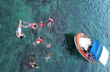 Roatan Sloth Park, City Tour And Snorkeling