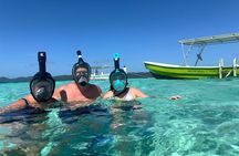 Roatan Sloth Park, City Tour And Snorkeling