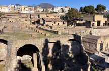 Early bird Herculaneum Tour Beat the Heat