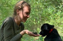 Truffle Hunting with Three Course Meal by Local Family