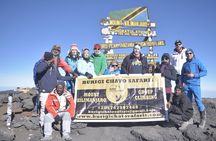 6 Days Kilimanjaro Machame Route Group Climbing and Hiking Tour