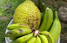 Learn to Cook Like a Caribbean in Puerto Viejo