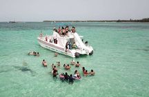 Saône Deluxe Platinum Island