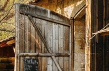 From Prague : Bohemian Gastronomic Journey all Inclusive